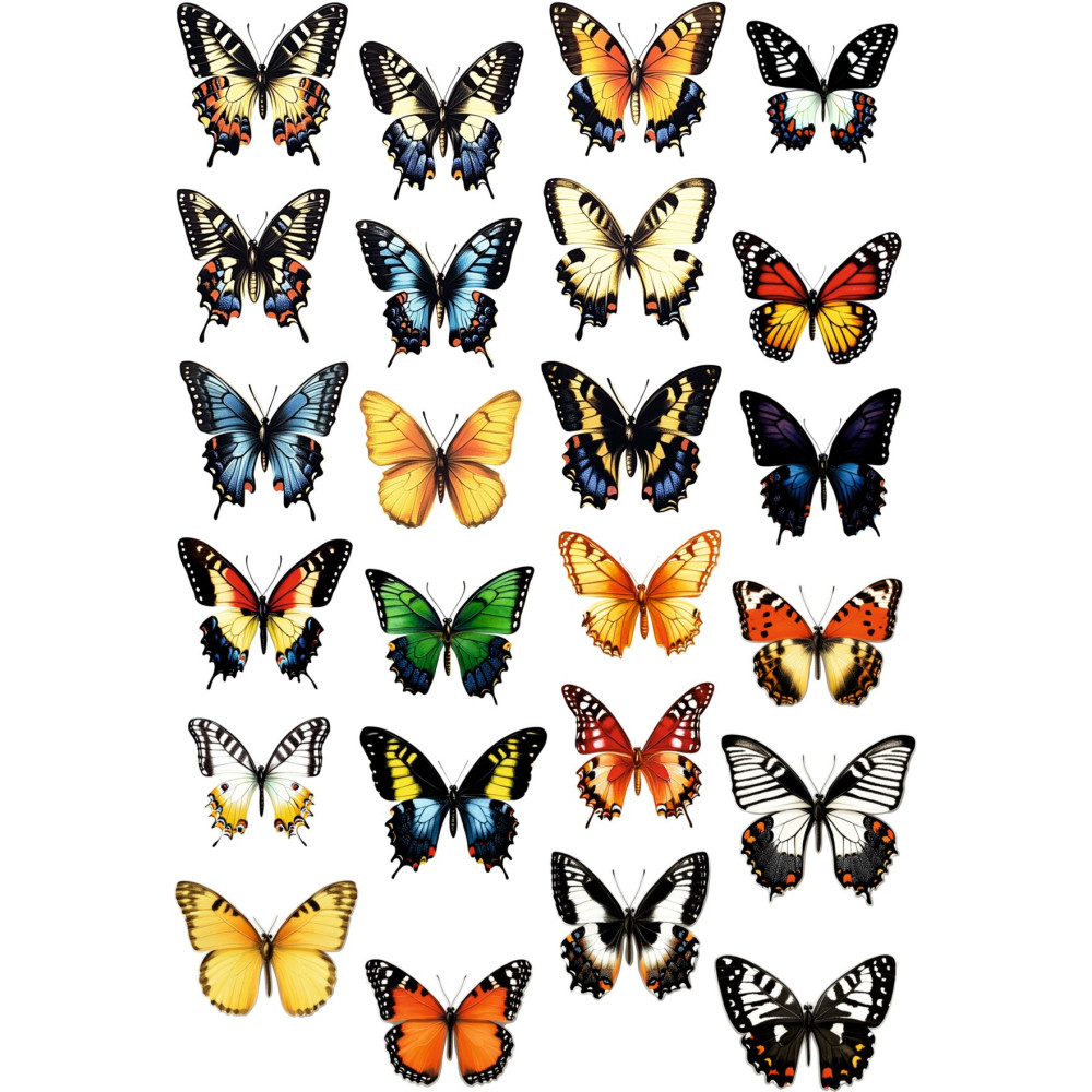 Élethű lepkés kerékpár matrica, színes - 24 db-os