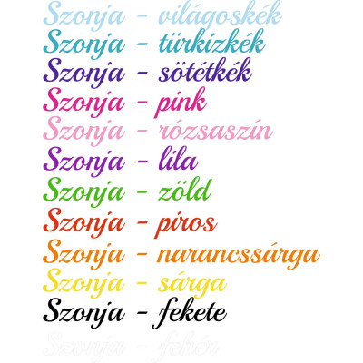 Névre szóló, saját neves bicikli matrica, írott betűs - 2 db (1 pár)