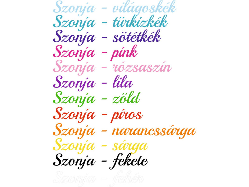Névre szóló, saját neves bicikli matrica, írott betűs - 2 db (1 pár)