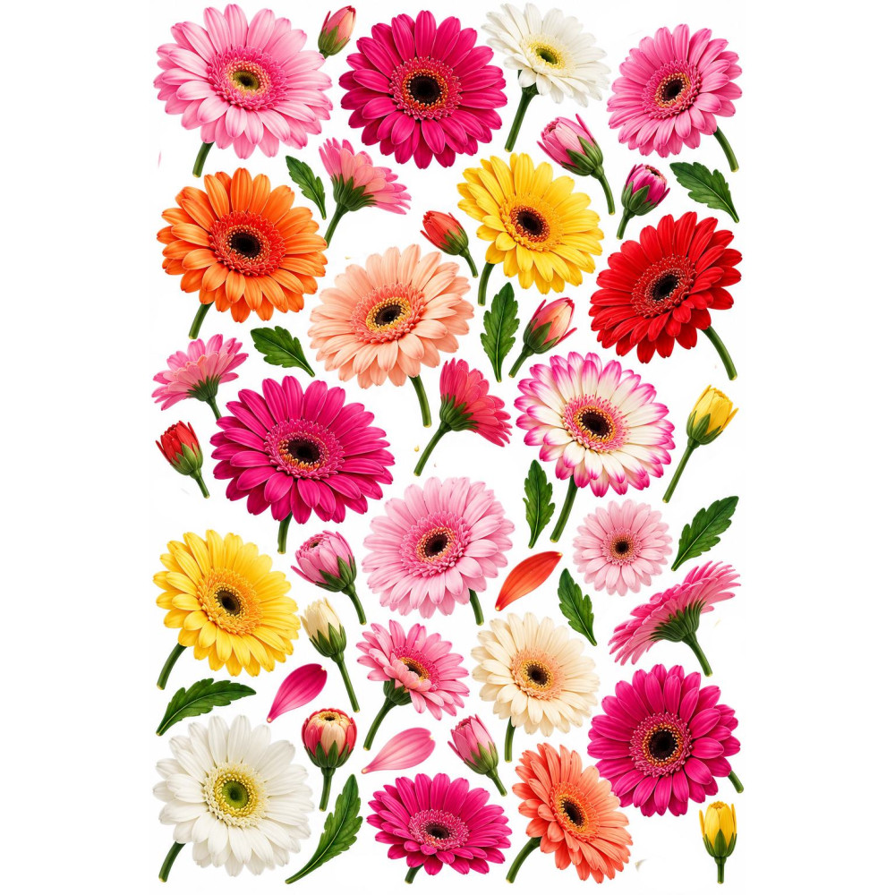 Gerbera kerékpár matrica szett – színes virágok Gerbera kerékpár matrica szett – színes virágok