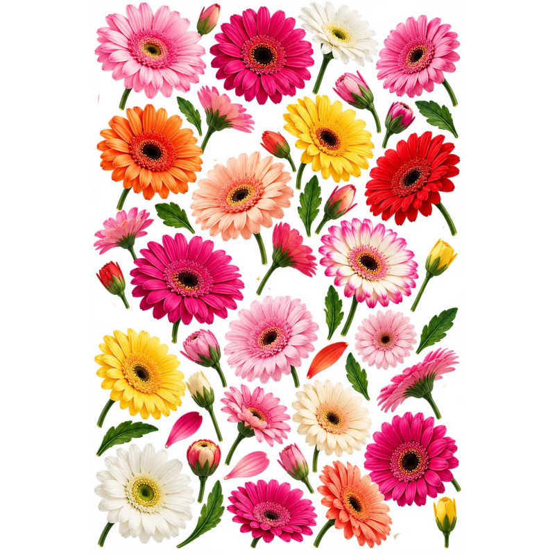 Gerbera kerékpár matrica szett – színes virágok