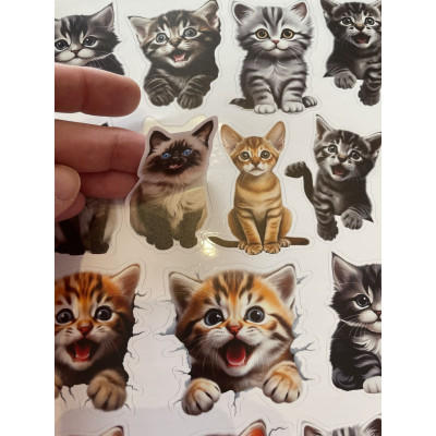 Fotó hatású macskás gyerek kerékpár matrica - 27 db-os