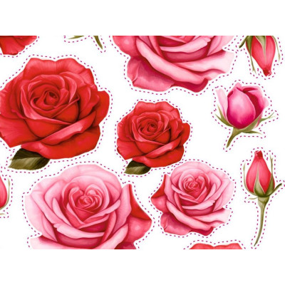 Rózsás kerékpár matrica, piros - 19 db-os