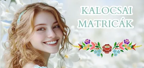 Kalocsai bicikli matrica és magyar kerékpár matrica
